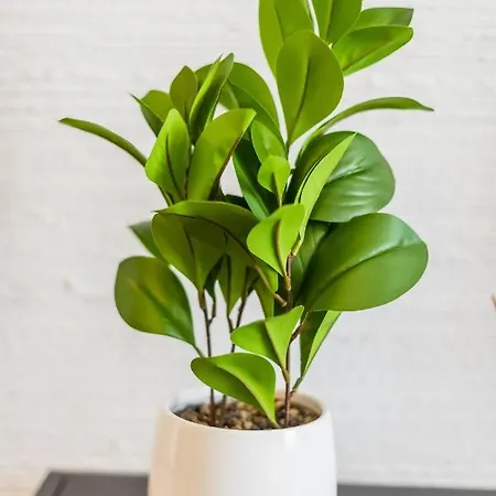 Na Szlaku Wawelofts Apartman *