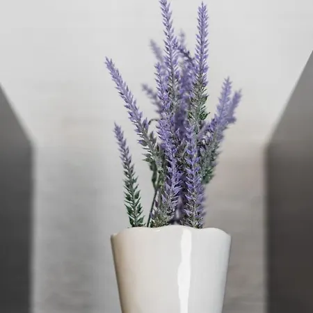 Na Szlaku Wawelofts *